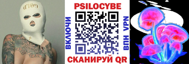 Купить где  Чёрмоз  Псилоцибиновые грибы MAGIC MUSHROOMS 